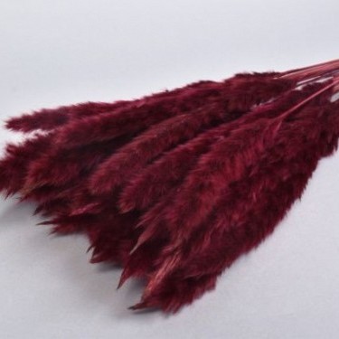 Droog fluffy bordeaux rood roze